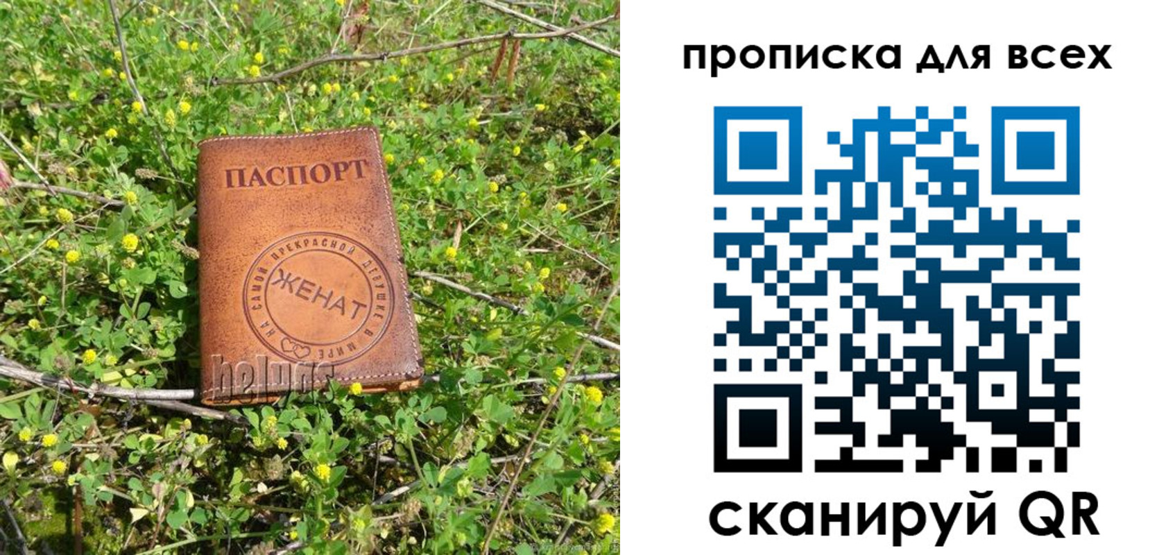 прописка поиск в Волгореченске